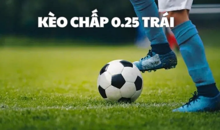 Hướng Dẫn Cách Chơi Kèo Chấp 0.25 Chi Tiết Cho Người Mới 1 kèo chấp 0.25