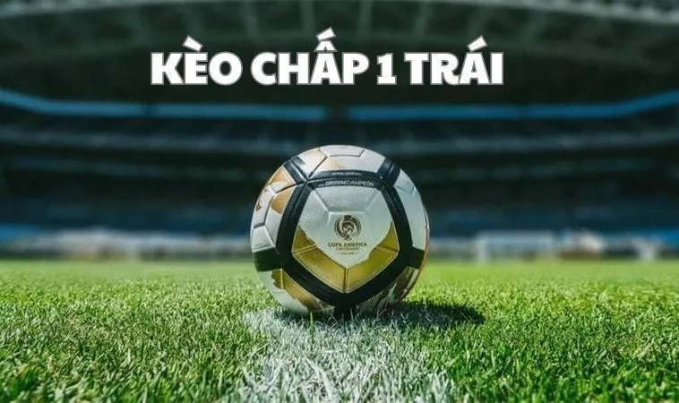 Hướng Dẫn Chi Tiết Cách Chơi Kèo Chấp 1 Hiệu Quả Cho Người Mới 1 Kèo Chấp 1