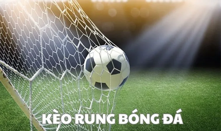Cách Chơi Kèo Rung Trong Bóng Đá Hiệu Quả Nhất Cho Người Mới 1 Kèo Rung