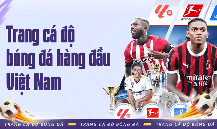 Trang cá độ bóng đá hàng đầu Việt Nam